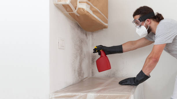 Professional Crawl Space Mold Remediation technician working in Englewood, NJ